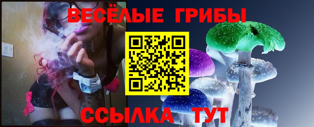 Галлюциногенные грибы прущие грибы Вязники