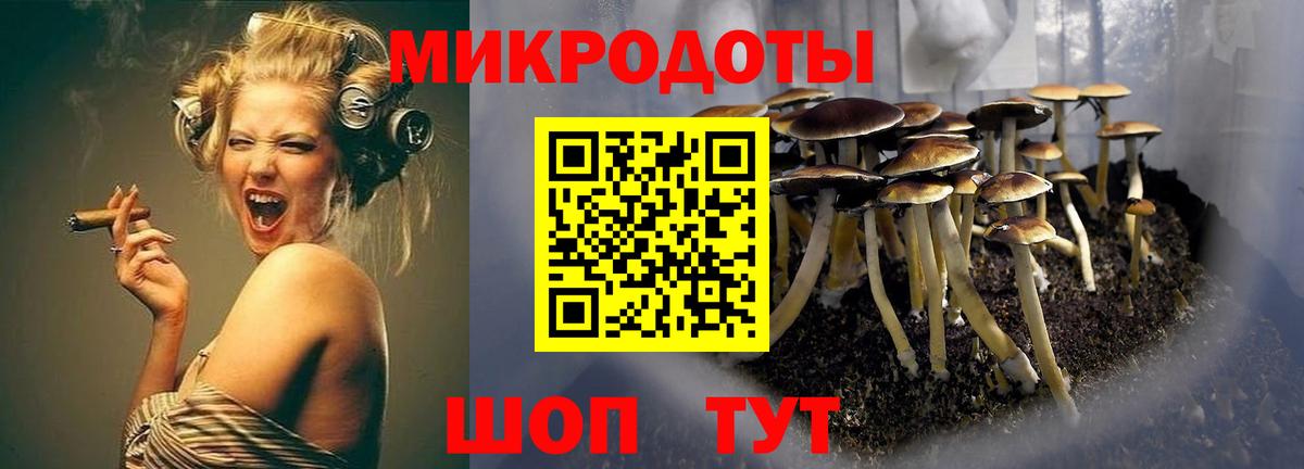 Псилоцибиновые грибы Magic Shrooms  Вход с VPN  Вязники 